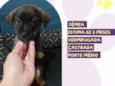 Mocca