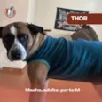 Thor