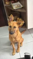 Frederico