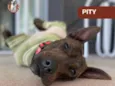 Pity