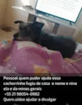 Nina