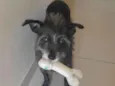 Nina