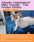 Mimi