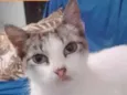 Mimi