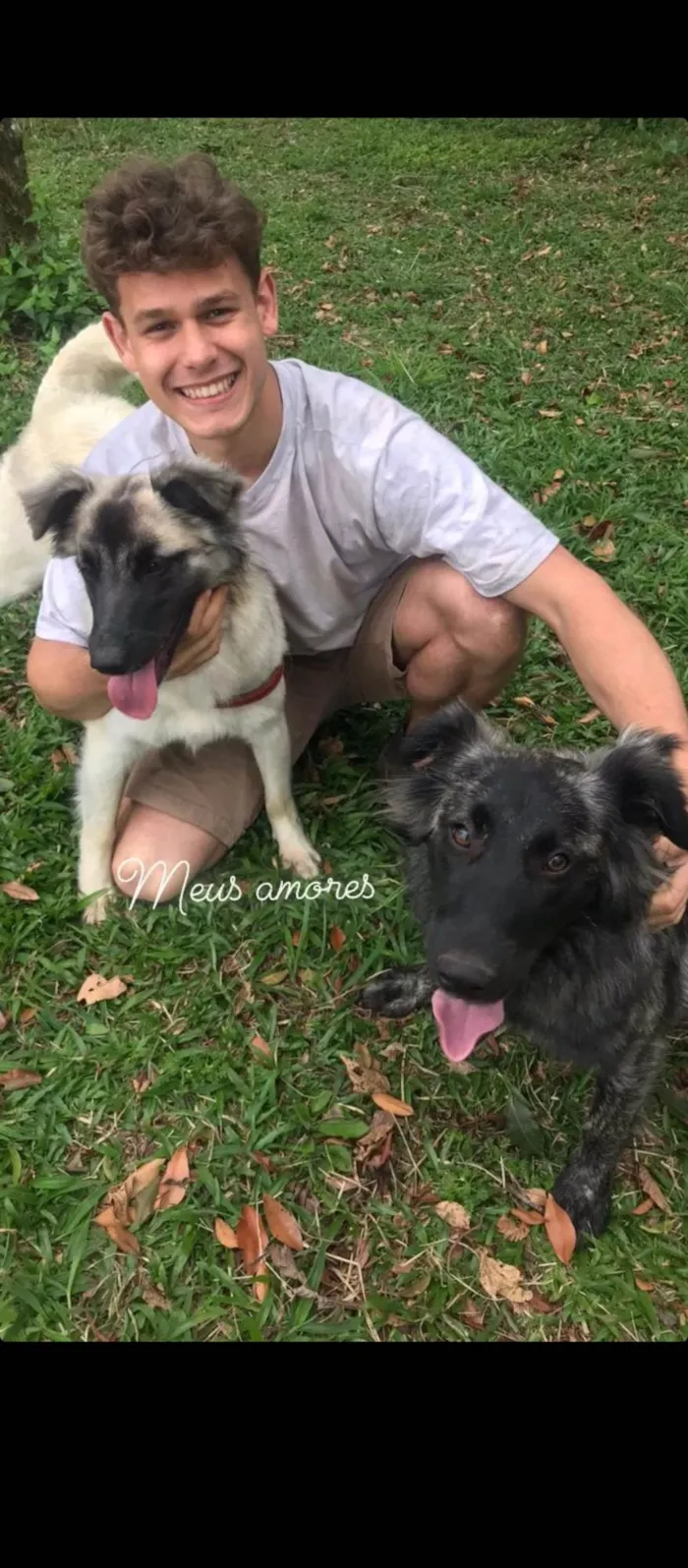 Cachorro ra a SRD-ViraLata idade 3 anos nome AURORA