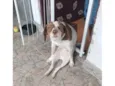 Mel