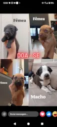 Ainda sem nome