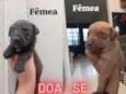 Ainda sem nome