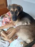 Nikita