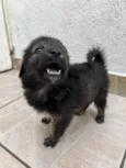Betty