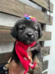 Betty