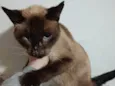 Mel