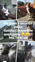 Docinho