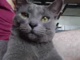 Bob