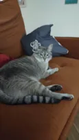 Rita