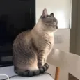 Rita