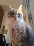 Rita