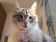 Rita