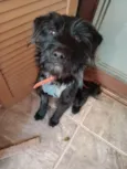 Zezé