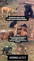Sem nome