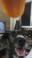 Zeus