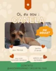 Canela