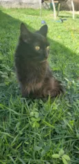 Taj