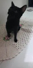 Núbia