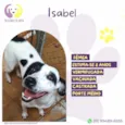 Isabel