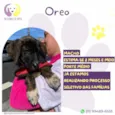 Oreo