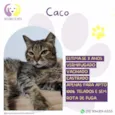 Caco