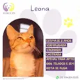Leona