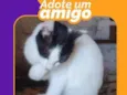 Mimi
