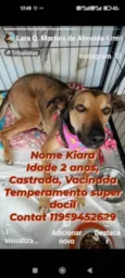 Kiara