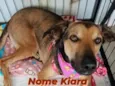Kiara