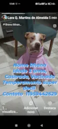 Rhana