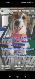 Lulu