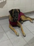 mel
