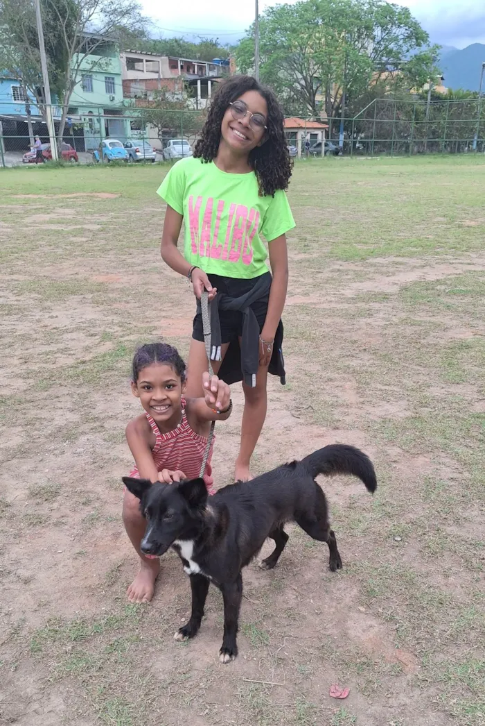 Cachorro ra a SRD-ViraLata idade 2 anos nome Lilibeth 