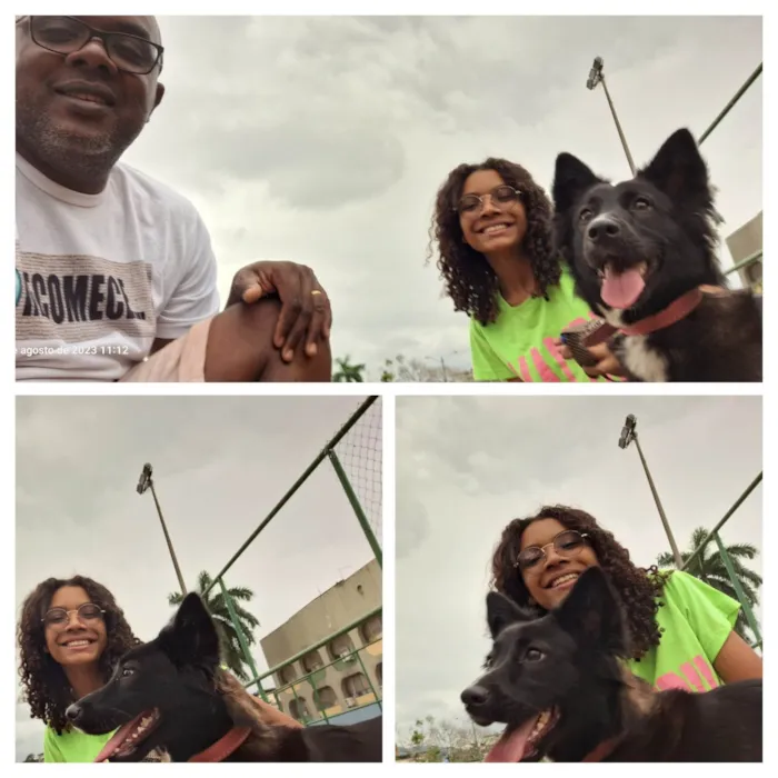 Cachorro ra a SRD-ViraLata idade 2 anos nome Lilibeth 