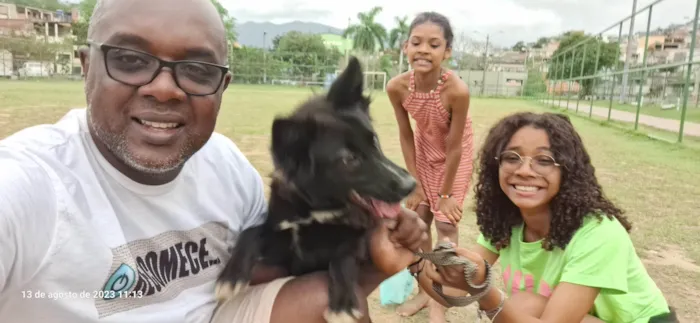 Cachorro ra a SRD-ViraLata idade 2 anos nome Lilibeth 