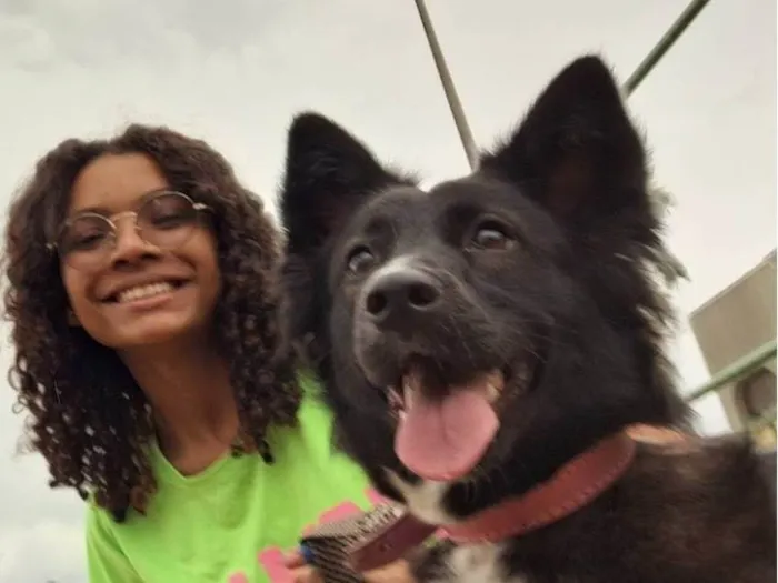 Cachorro ra a SRD-ViraLata idade 2 anos nome Lilibeth 