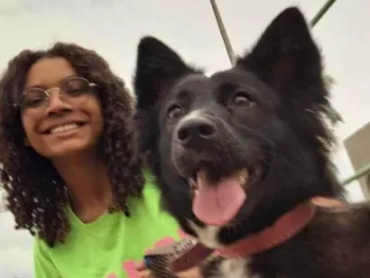 Cachorro raça SRD-ViraLata idade 2 anos nome Lilibeth 