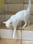 Não sei