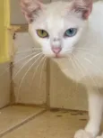 Não sei
