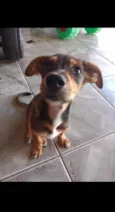 Neguinha