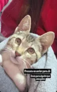 Jóo
