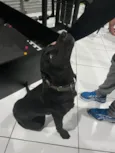 Não tem nome ainda