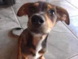 Neguinha