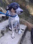 Kika